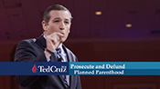 grab 6 from cruz ad 'values'