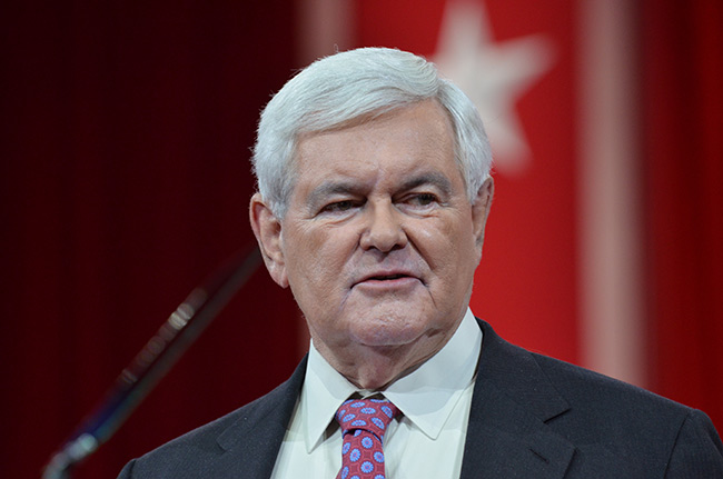 photo 1 of newt gingrich at cpac 2015