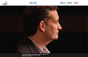 screen shot of stand for principle website